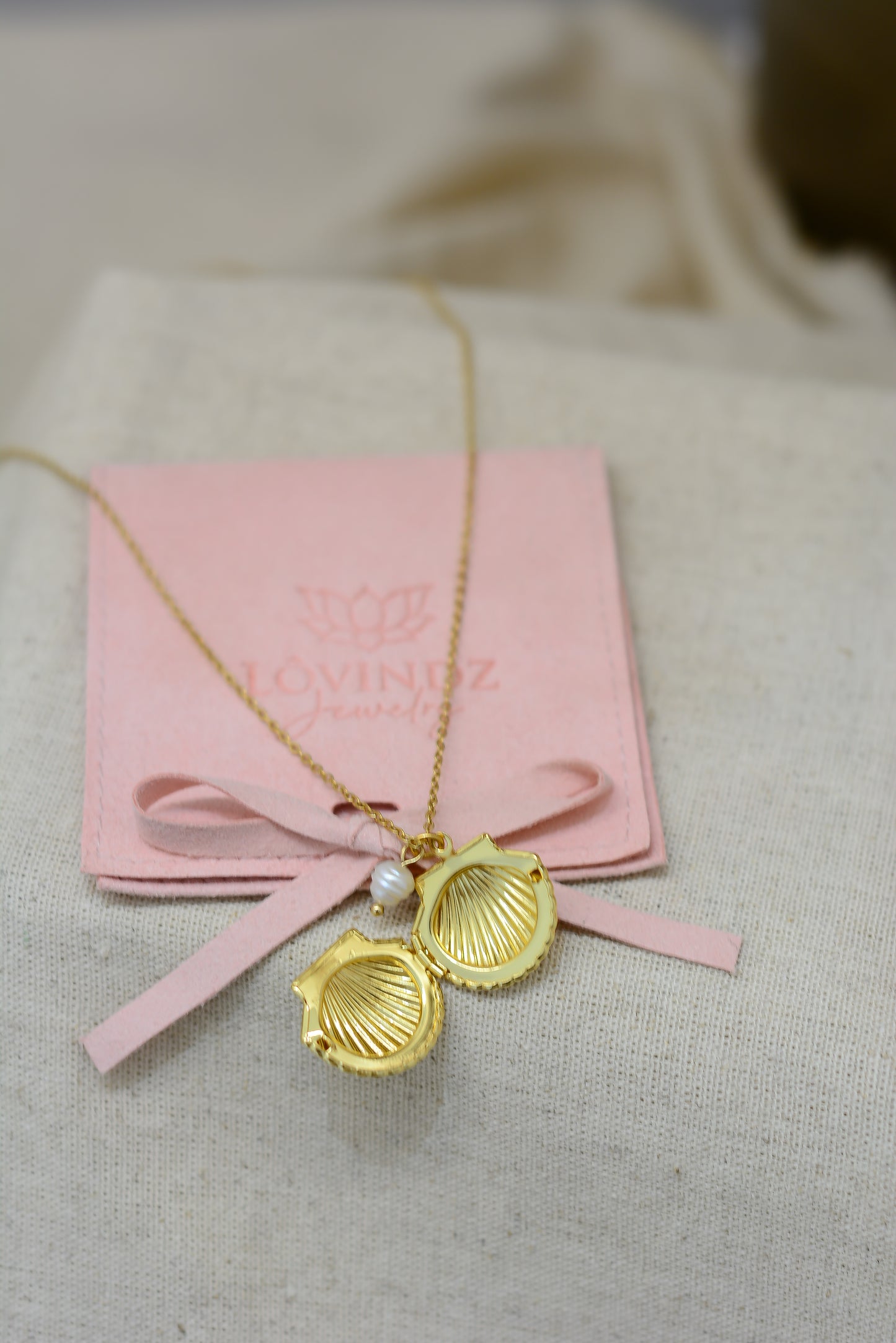 Cadena concha de mar