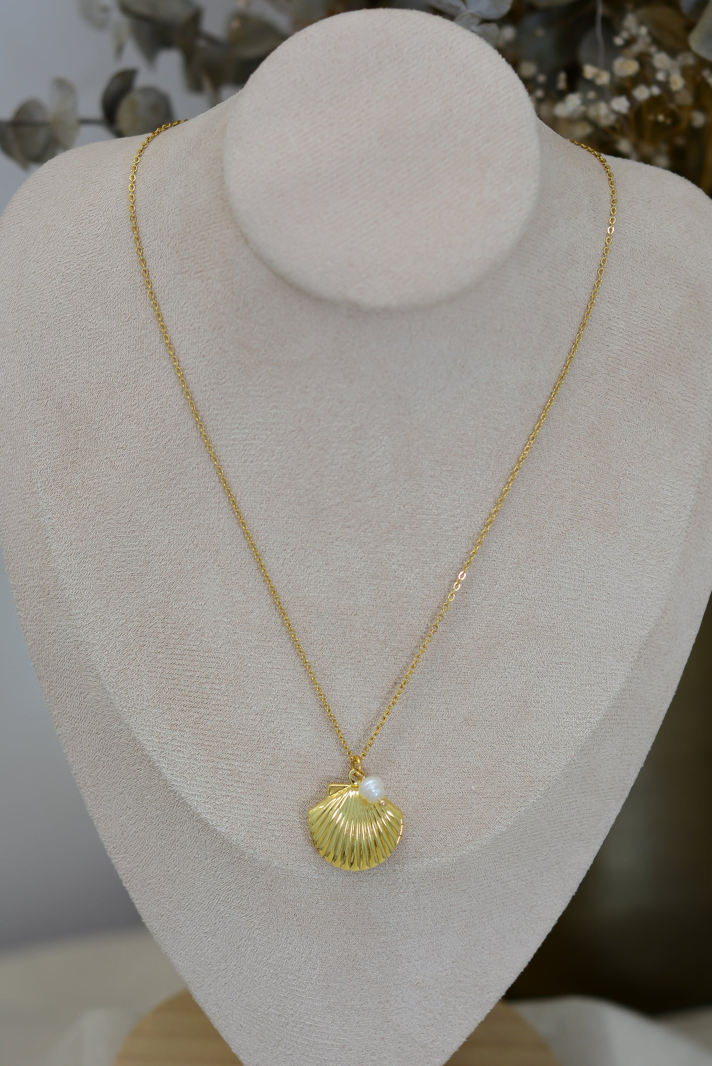 Cadena concha de mar