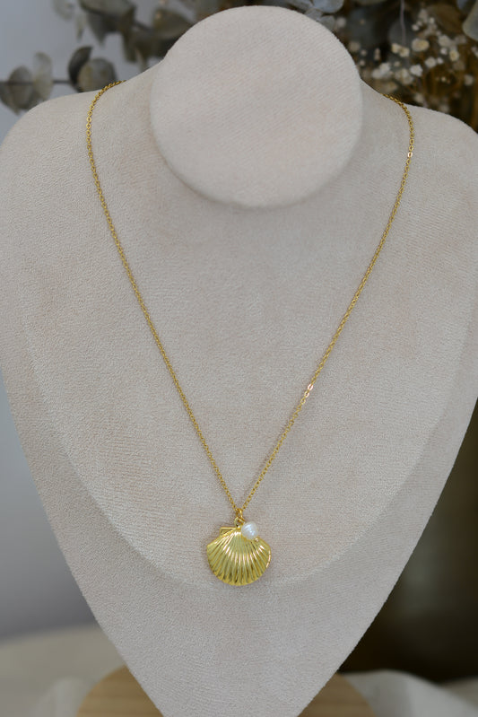 Cadena concha de mar