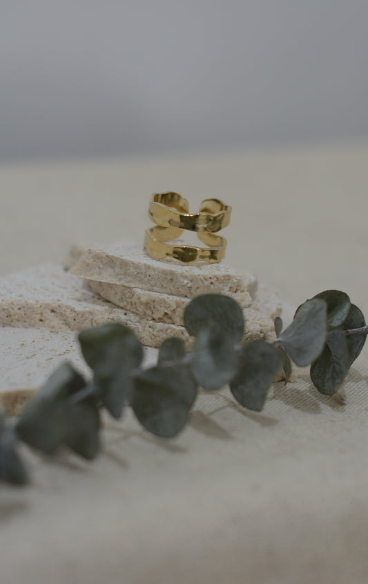 Anillo doble